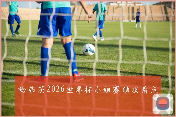 哈弗茨2026世界杯小组赛助攻看点