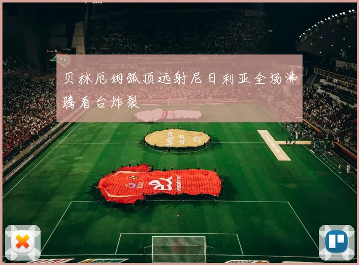 贝林厄姆弧顶远射尼日利亚全场沸腾看台炸裂