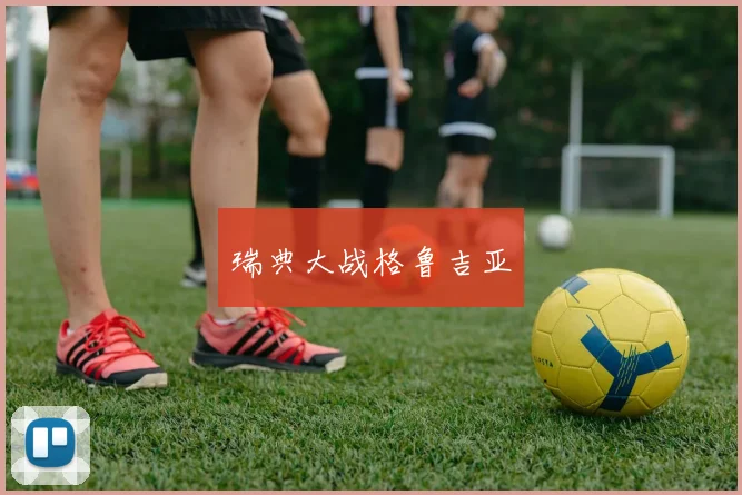 瑞典大战格鲁吉亚