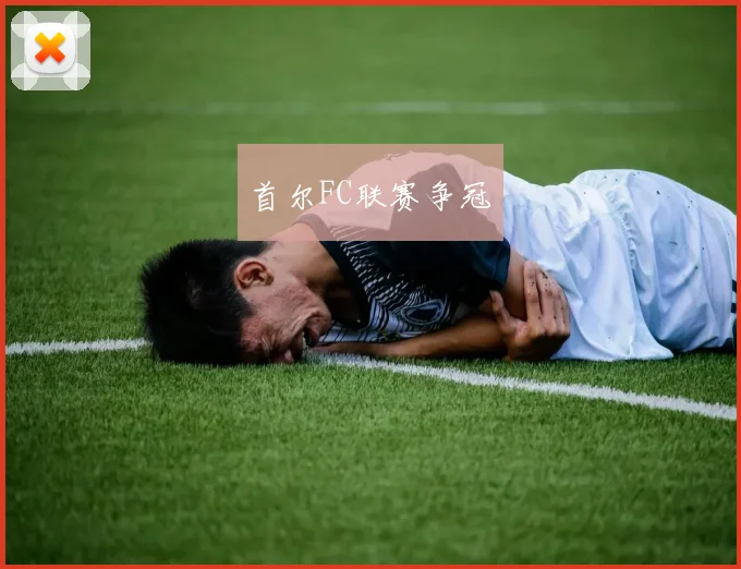 首尔FC联赛争冠
