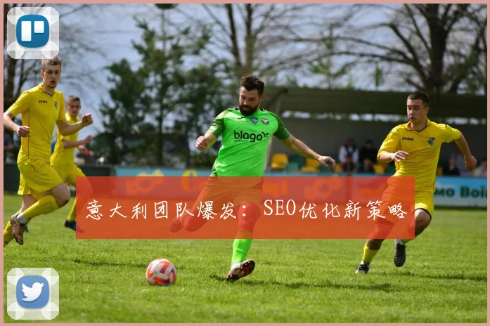 意大利团队爆发：SEO优化新策略