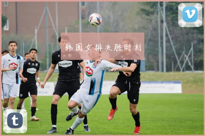 韩国女排决胜时刻