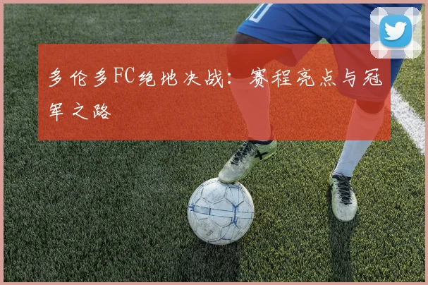 多伦多FC绝地决战：赛程亮点与冠军之路