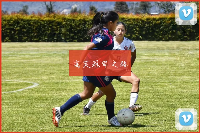高芙冠军之路
