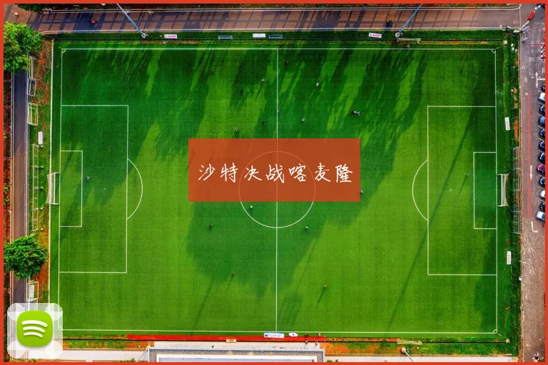 沙特决战喀麦隆