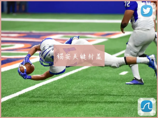 锡安关键封盖