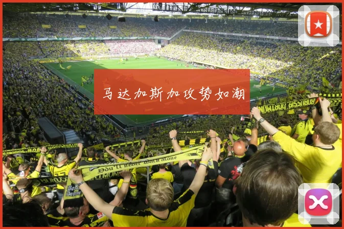 马达加斯加攻势如潮