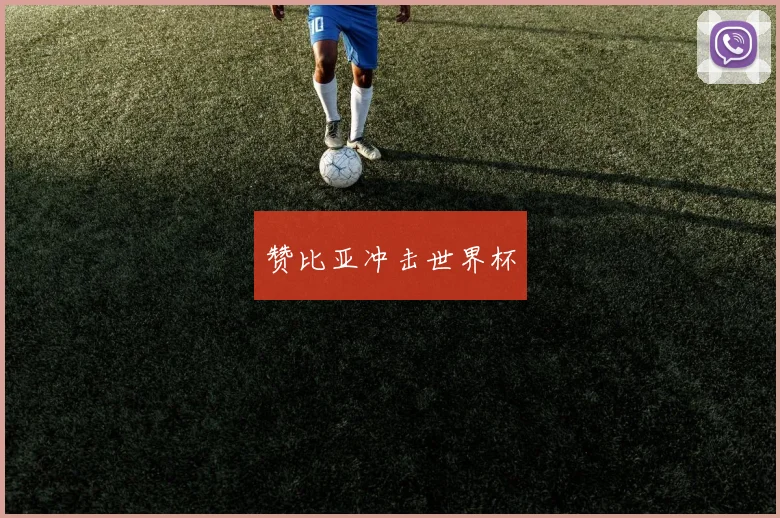 赞比亚冲击世界杯
