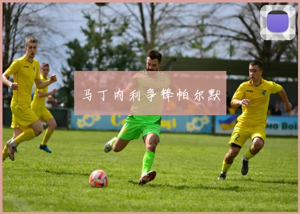 马丁内利争锋帕尔默