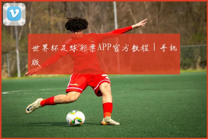 世界杯足球彩票APP官方教程｜手机版
