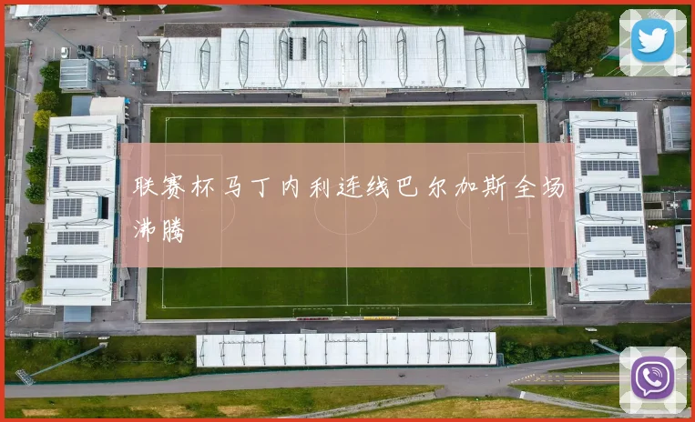 联赛杯马丁内利连线巴尔加斯全场沸腾
