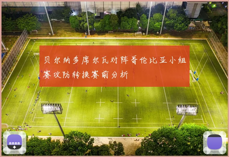 贝尔纳多席尔瓦对阵哥伦比亚小组赛攻防转换赛前分析