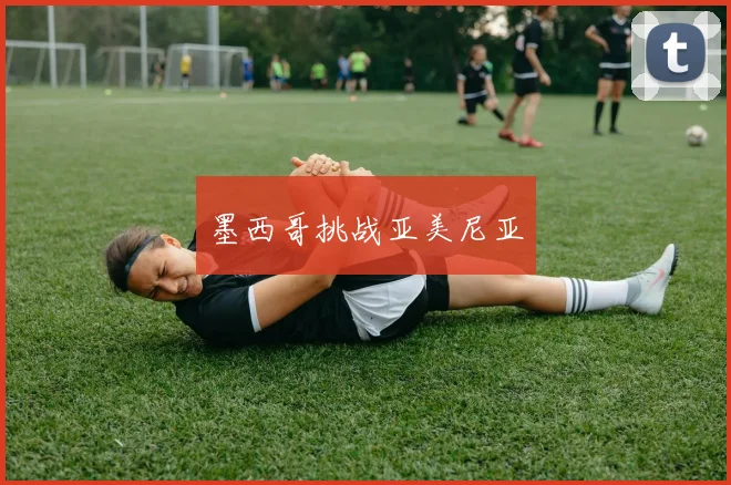 墨西哥挑战亚美尼亚