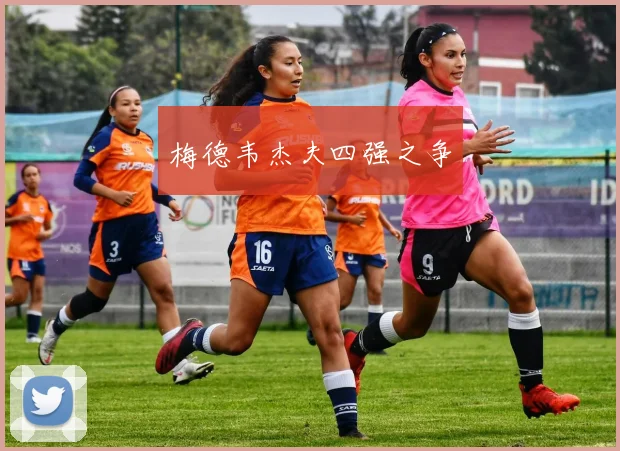 梅德韦杰夫四强之争