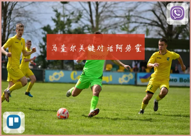 马奎尔关键对话阿劳霍