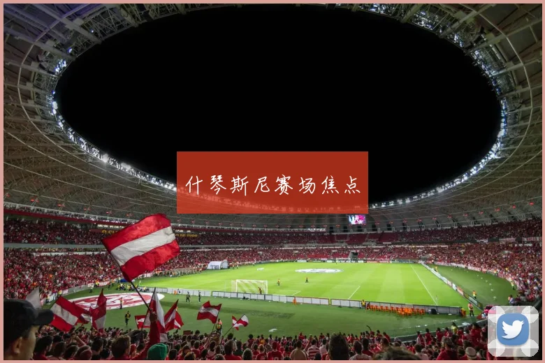 什琴斯尼赛场焦点