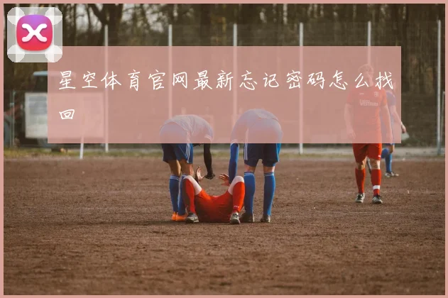 星空体育官网最新忘记密码怎么找回
