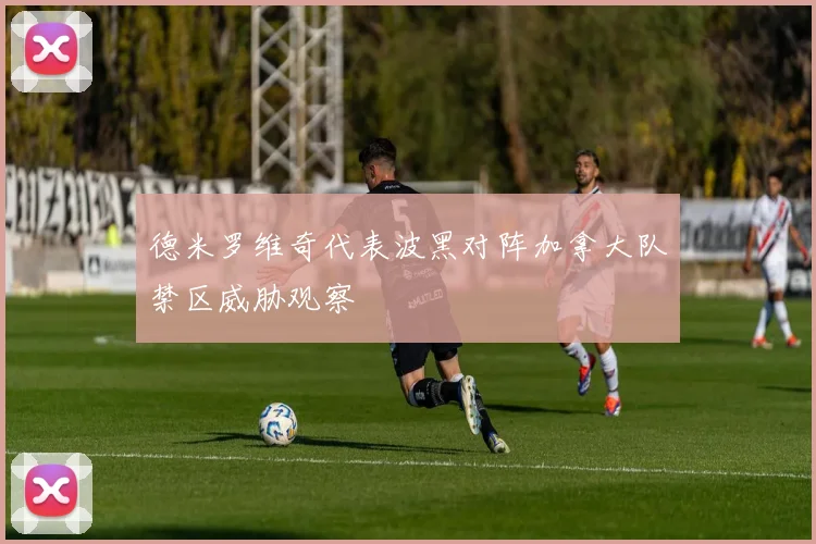 德米罗维奇代表波黑对阵加拿大队禁区威胁观察
